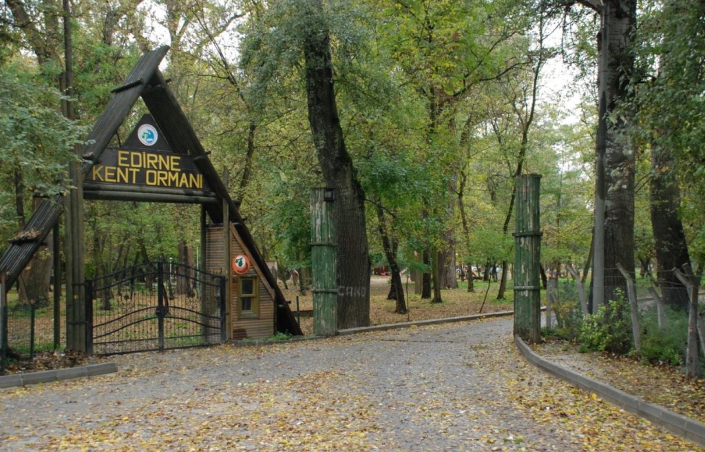 Tourism Photos