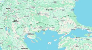 Διαδικτυακά