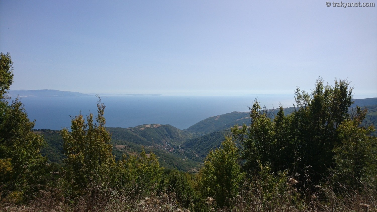Tekirdağ'ın Bitki Örtüsü