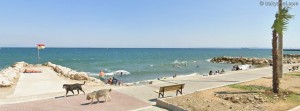 Mürefte Halk Plajı