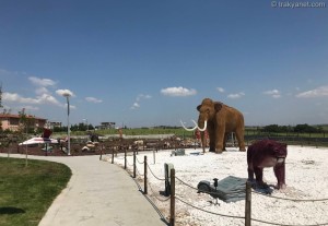 Hasan Ali Yucel Children's Museum